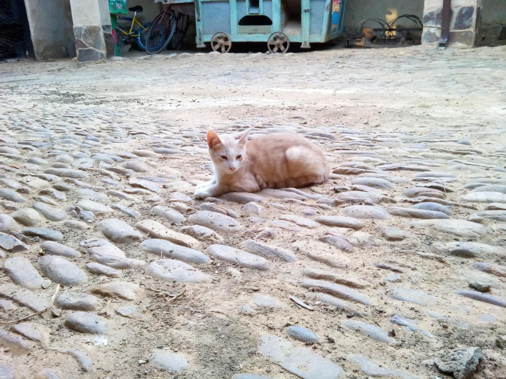 Casa Rural Abuela Tina Antonan del Valle ภายนอก รูปภาพ
